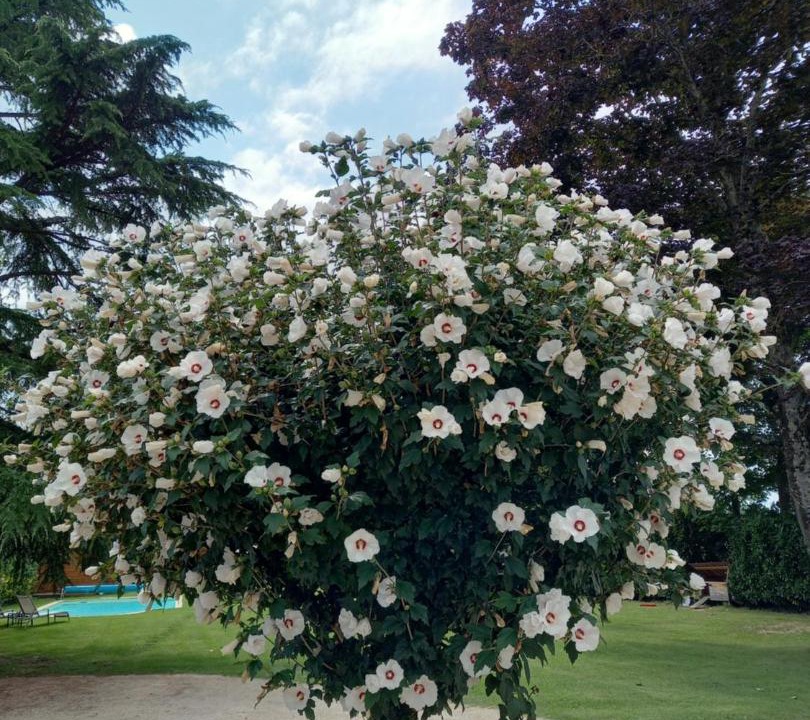 Photo of Others in Les Avenieres