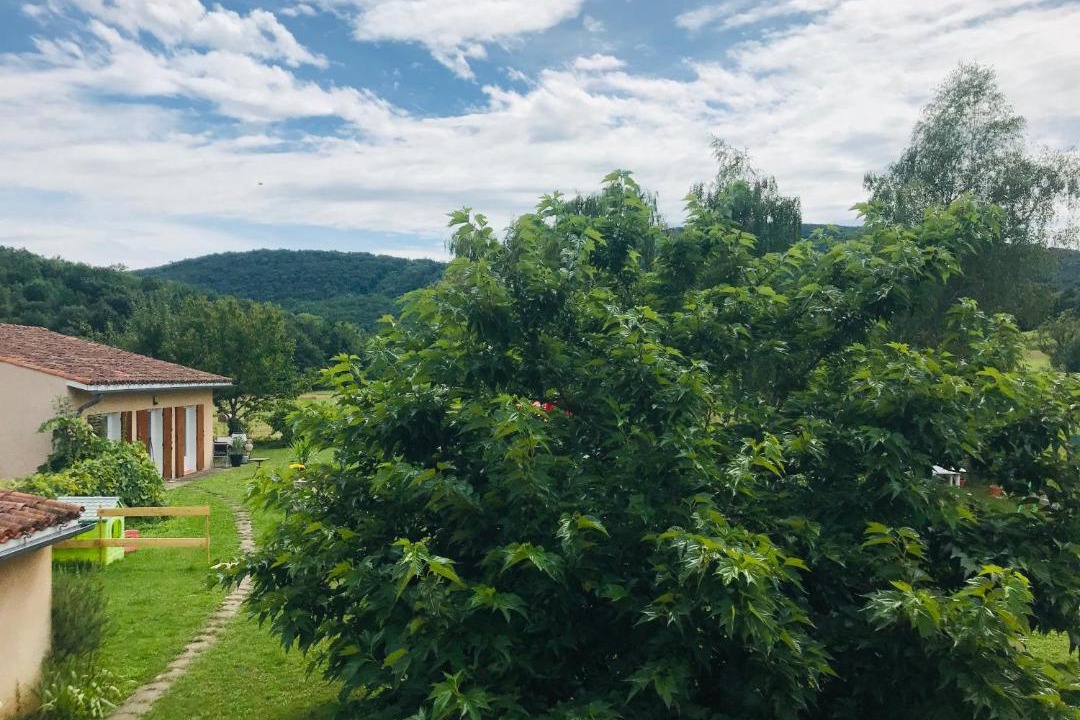 Photo of Others in Montegut-Plantaurel