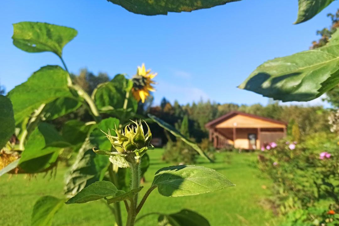 Photo of Others in Bugrovo