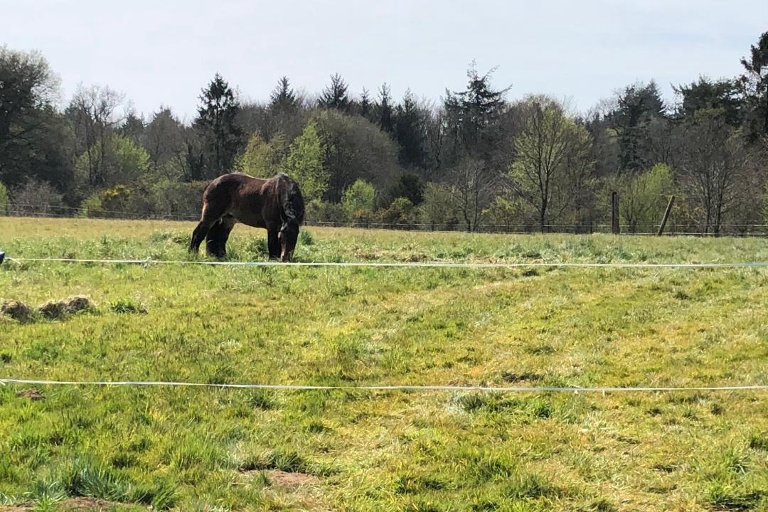 Photo of Others in Saint-Nicolas-du-Pelem