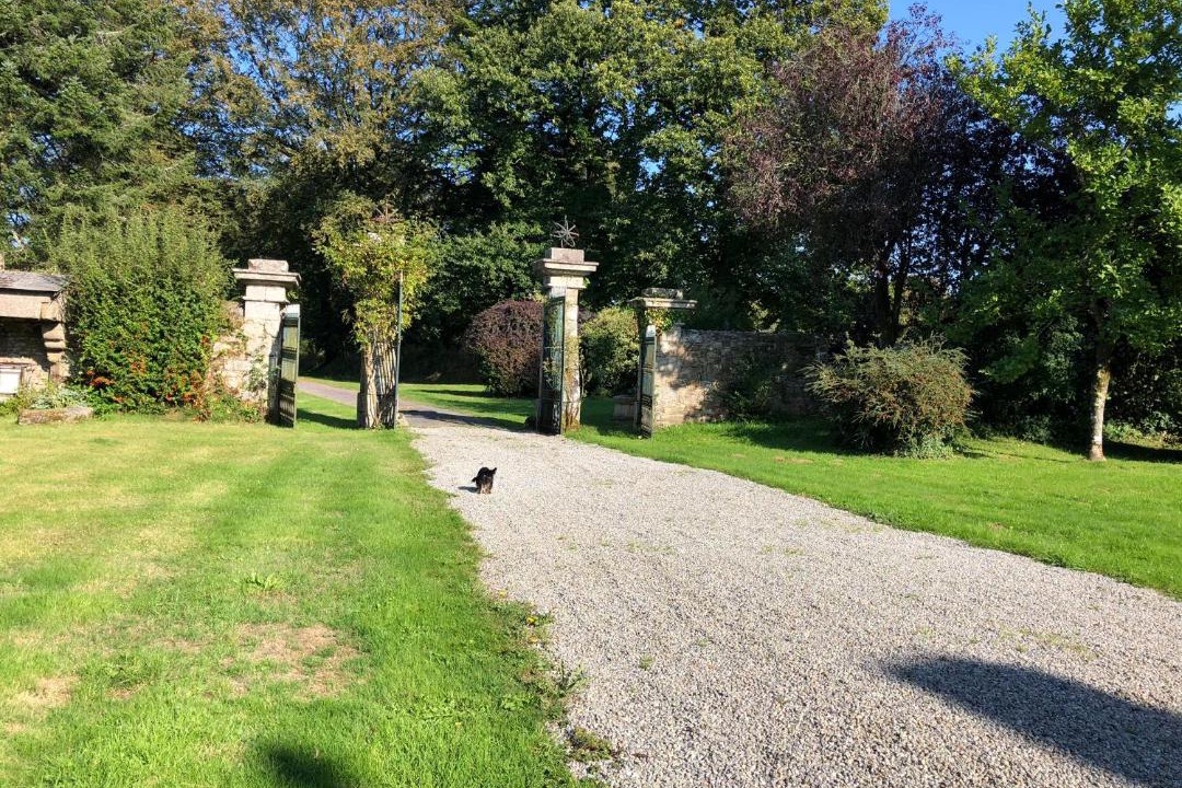 Photo of Others in Saint-Nicolas-du-Pelem