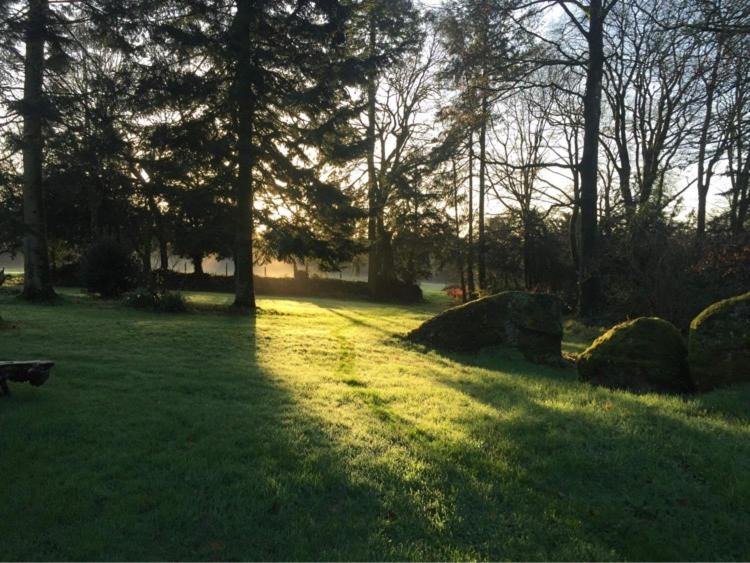 Photo of Others in Saint-Nicolas-du-Pelem