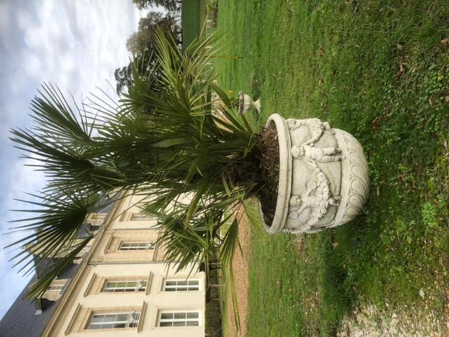 Photo of Others in Monhoudou