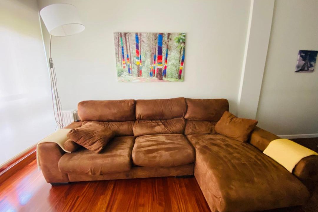Photo of Livingroom in Derio
