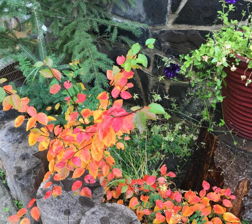 Photo of Others in Banff