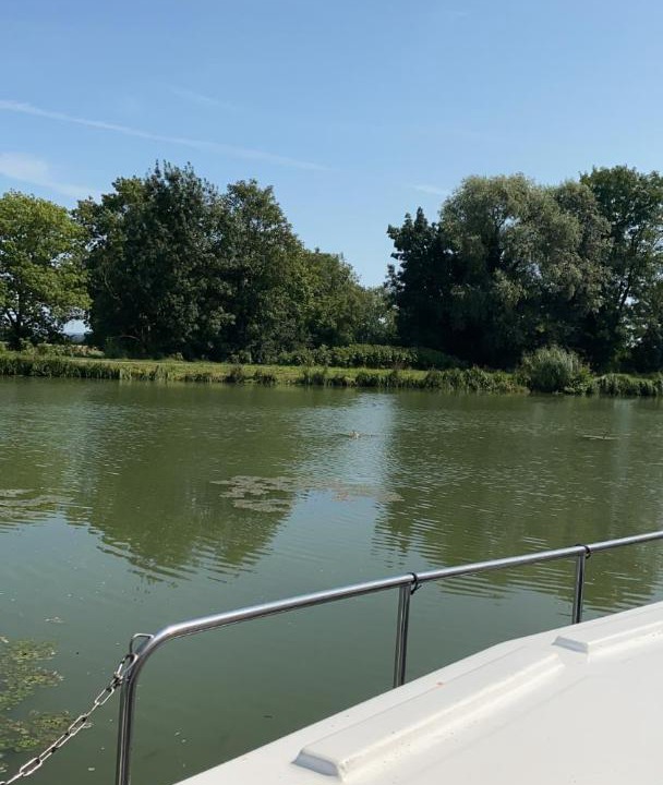 Photo of Others in Saint-Symphorien-sur-Saone