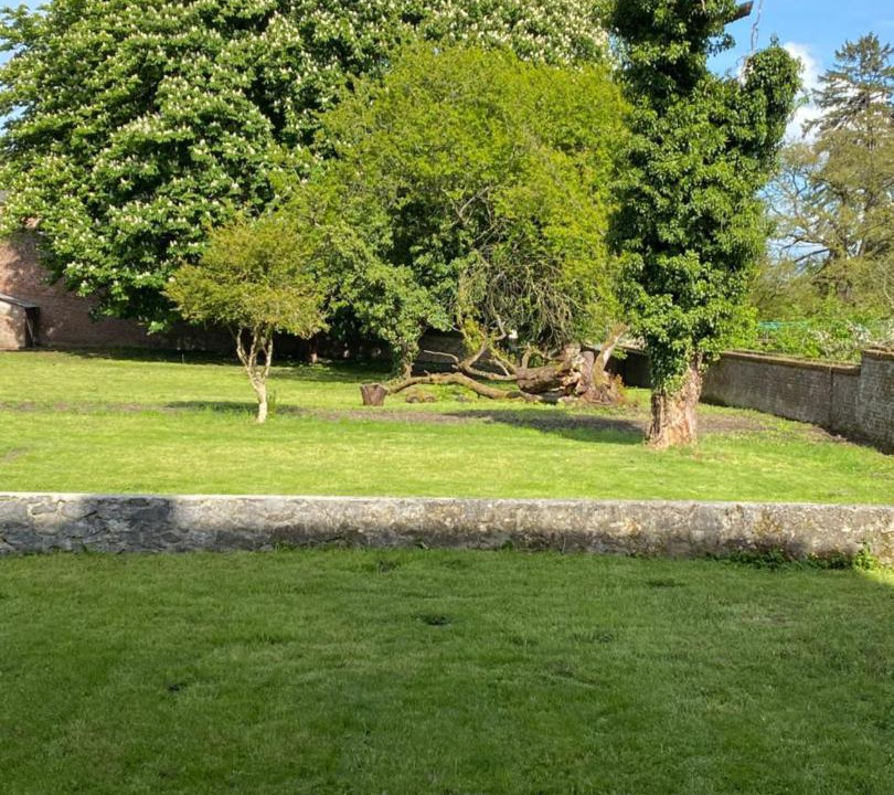 Photo of Others in Avesnes-sur-Helpe