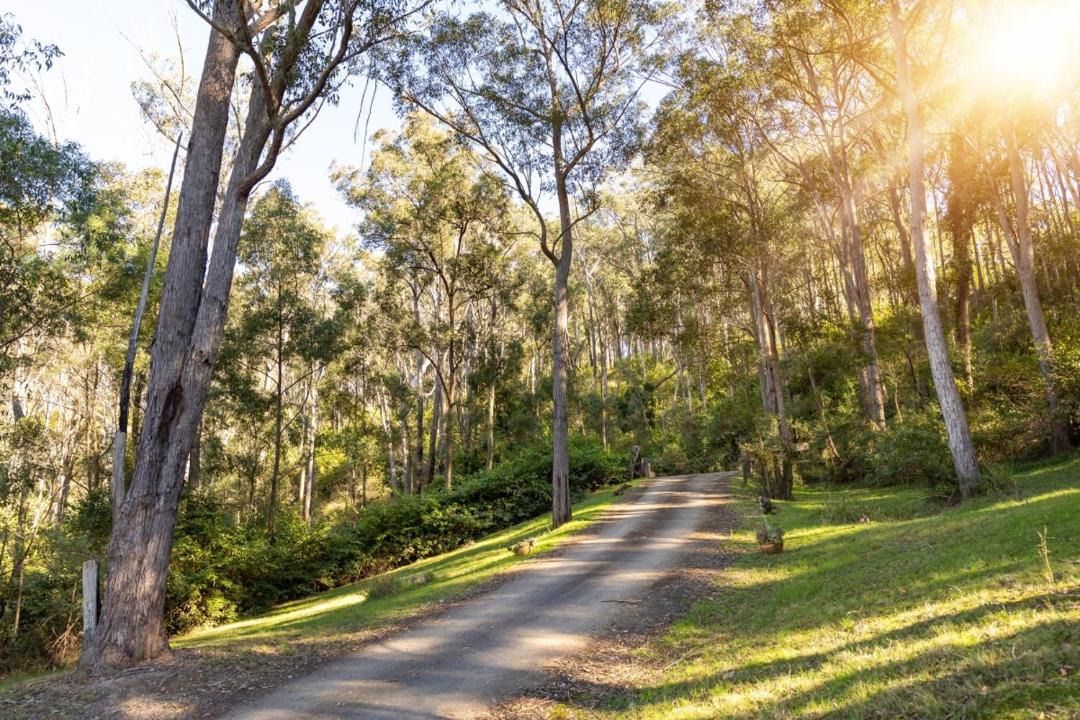 Photo of Others in Mount View