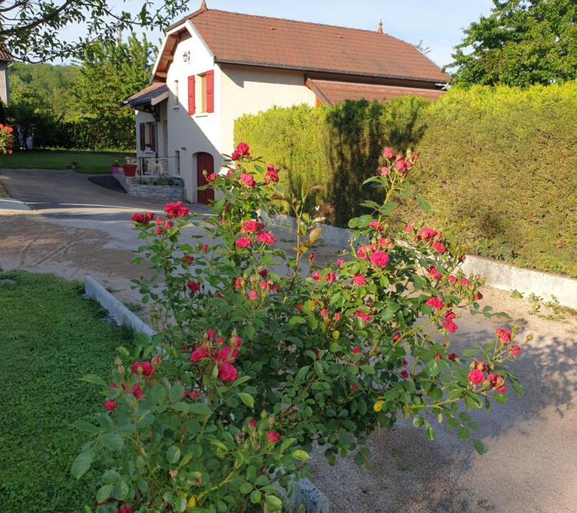 Photo of Others in Ruy-Montceau