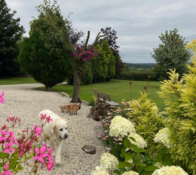 Photo of Others in Pickering