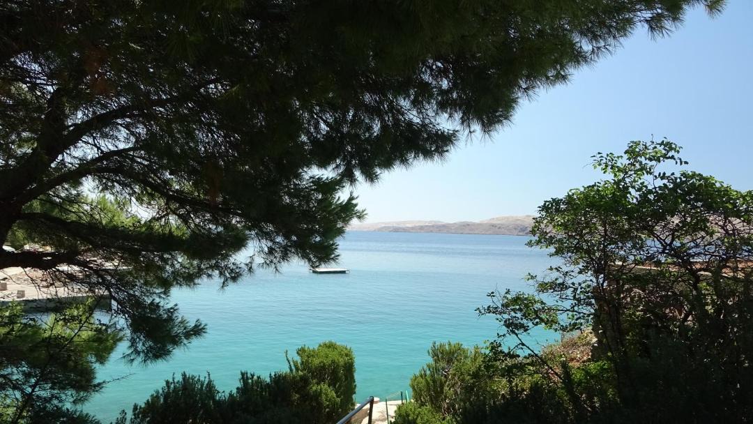Photo of Outdoor in Ribarica