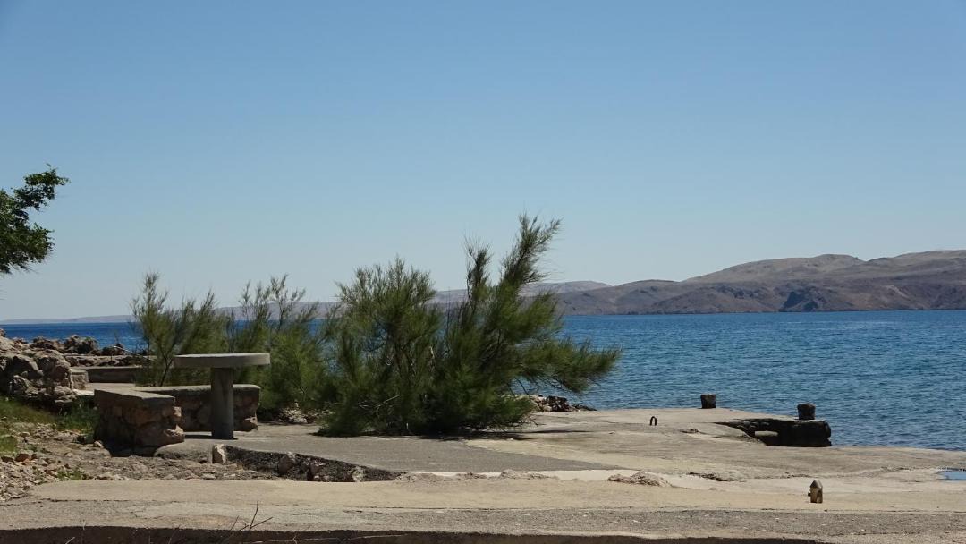 Photo of Outdoor in Ribarica