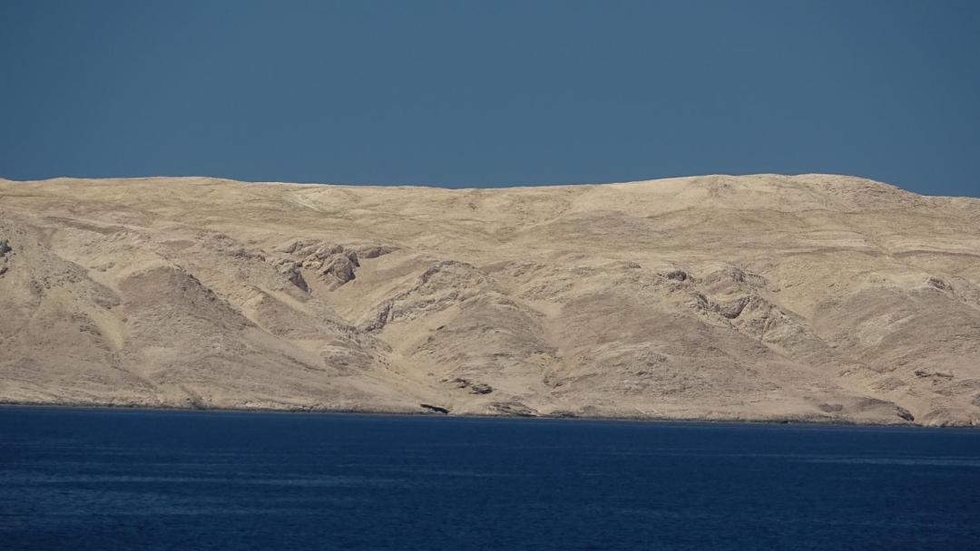 Photo of Others in Ribarica