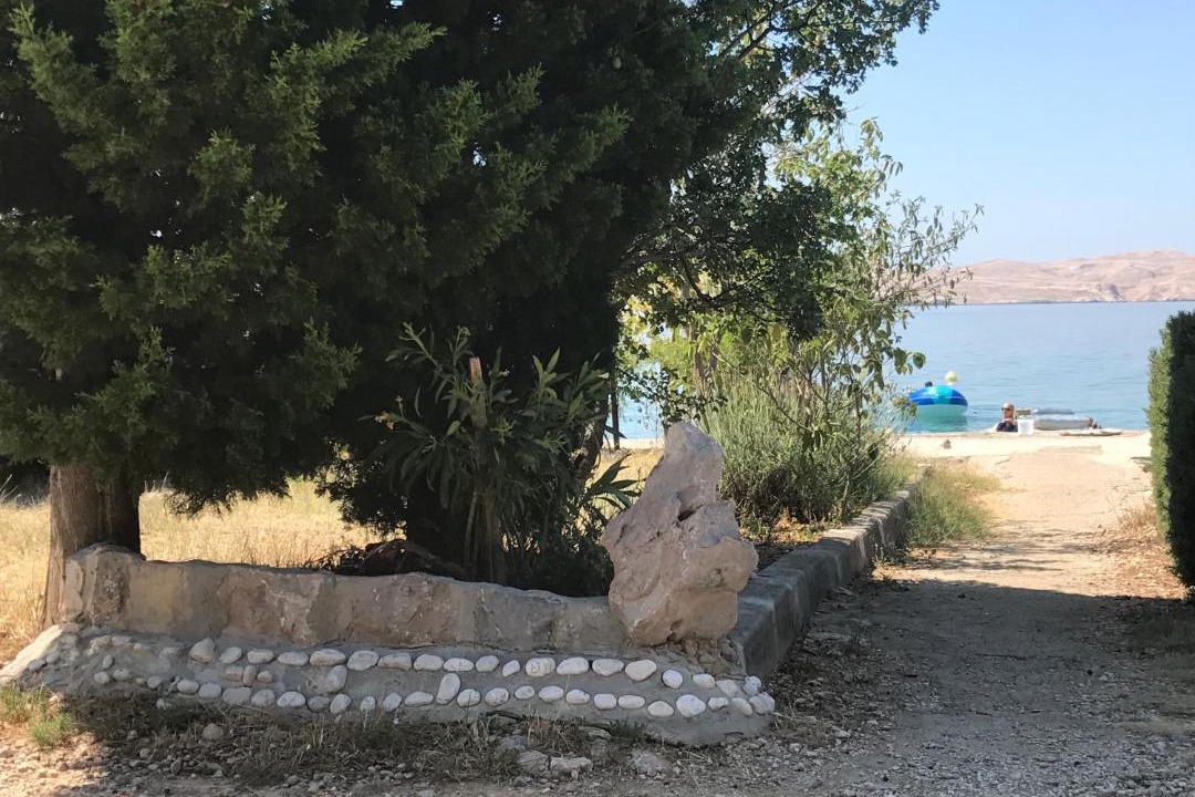 Photo of Others in Ribarica