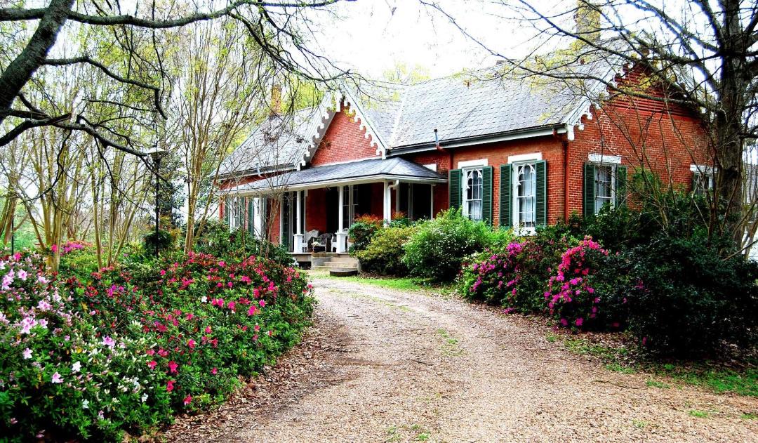 Photo of Others in Natchez