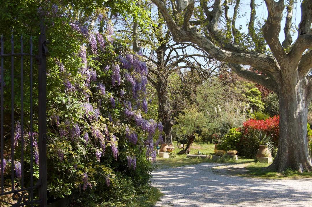 Photo of Others in Graveson