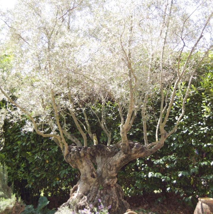 Photo of Outdoor in Graveson