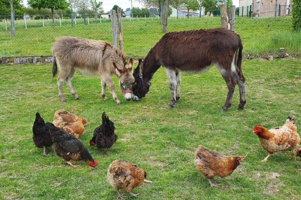 Photo of Others in Goupil-Othon