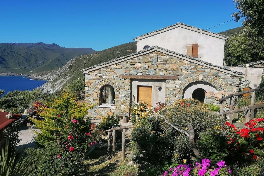 Photo of Buildings in Pino