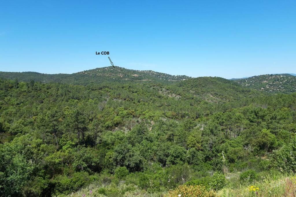 Photo of Outdoor in Le Muy