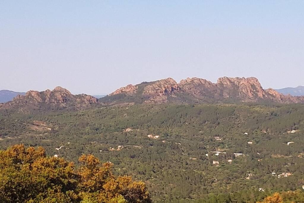 Photo of Outdoor in Le Muy