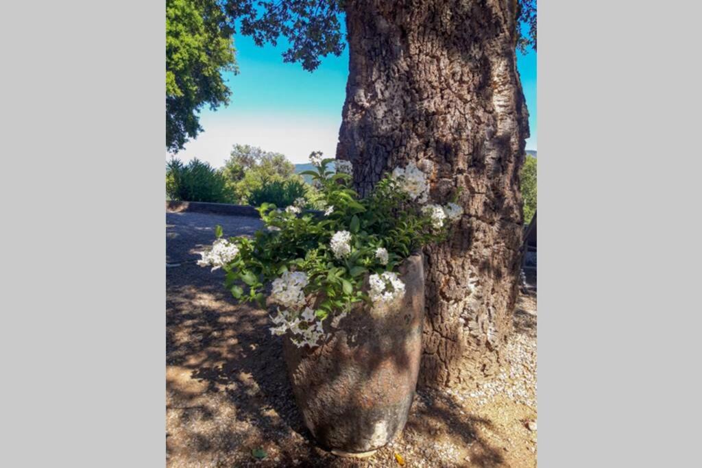 Photo of Others in Le Muy