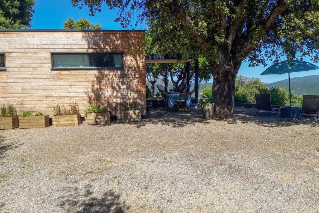 Photo of Buildings in Le Muy