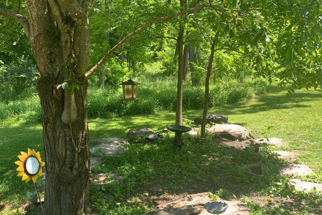 Photo of Others in Waverly