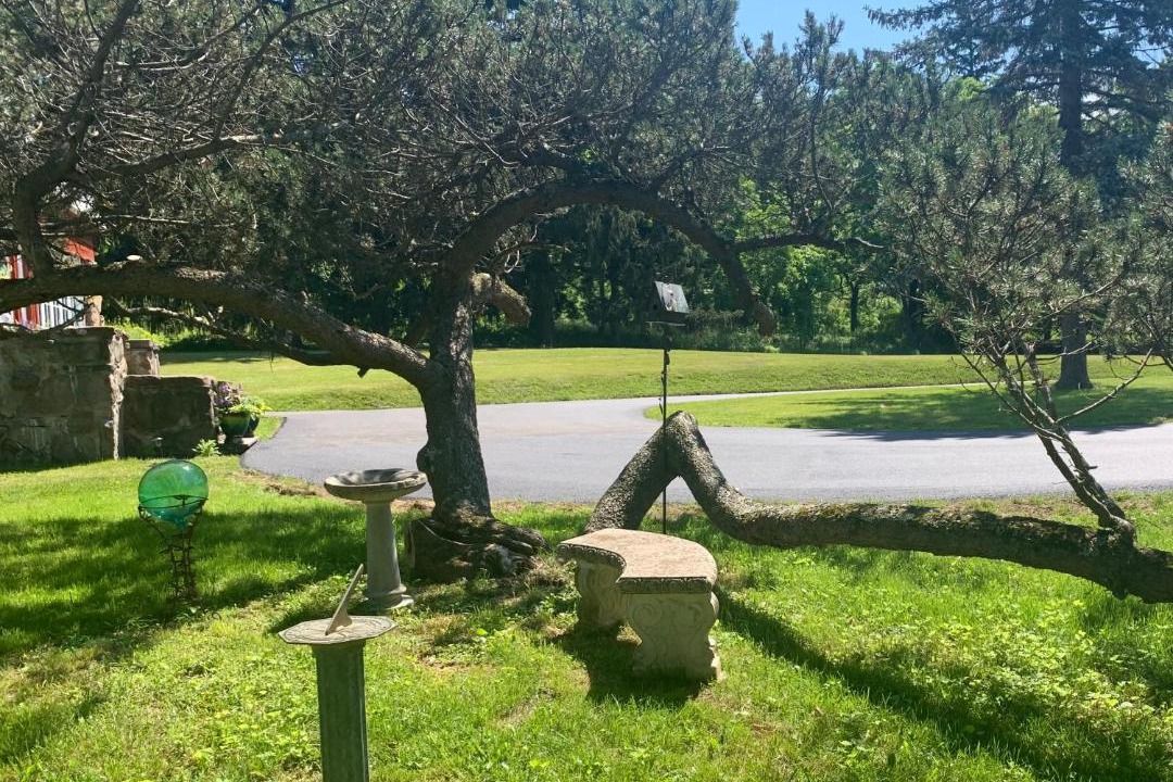 Photo of Others in Waverly