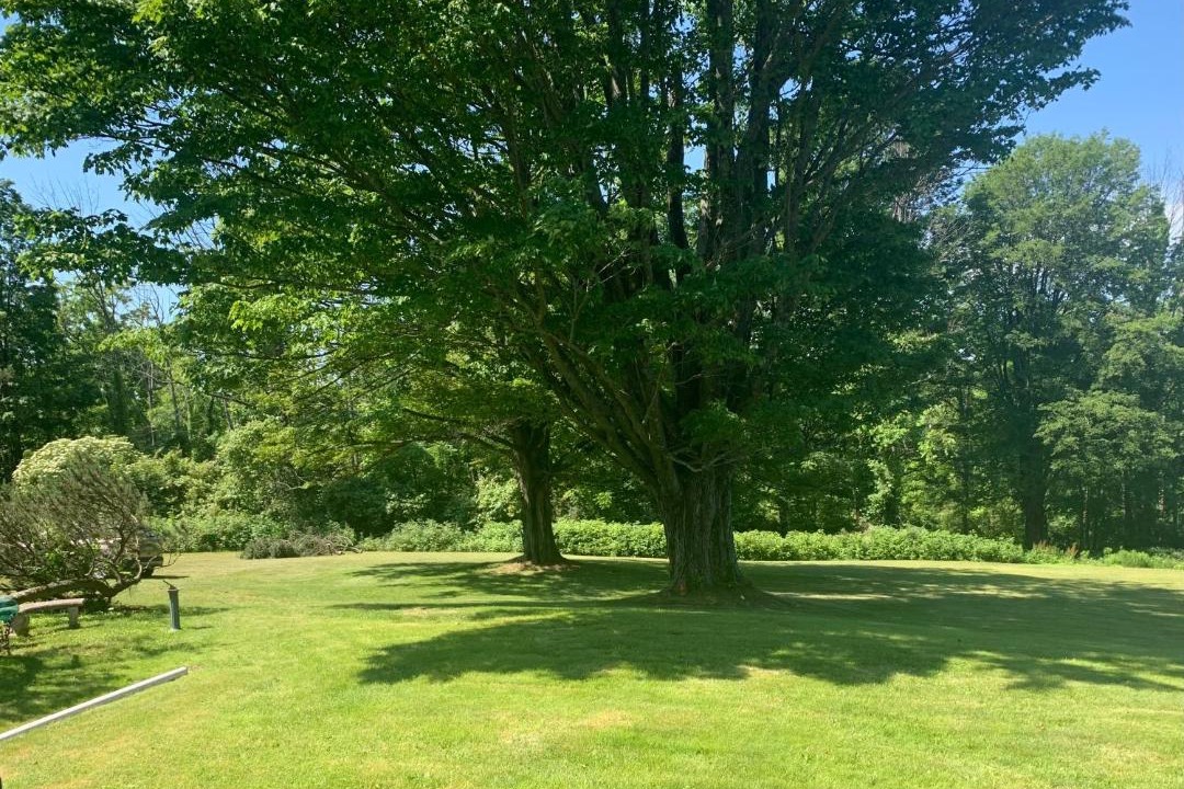 Photo of Others in Waverly