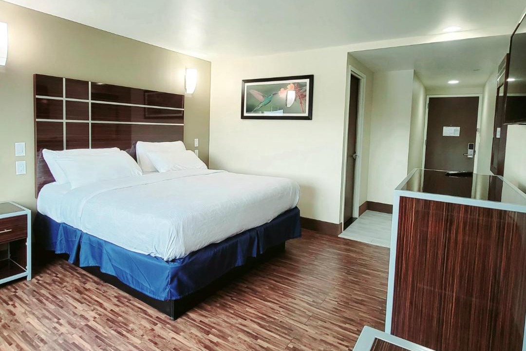 Photo of Bedroom in Bedford-Stuyvesant