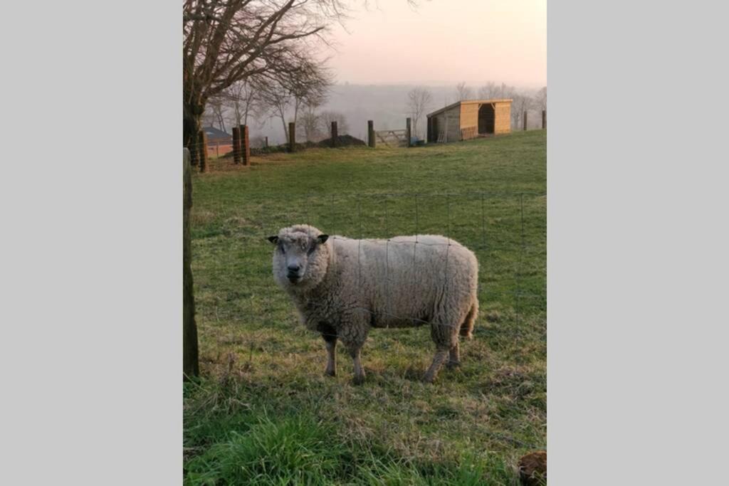 Photo of Others in Montpinchon