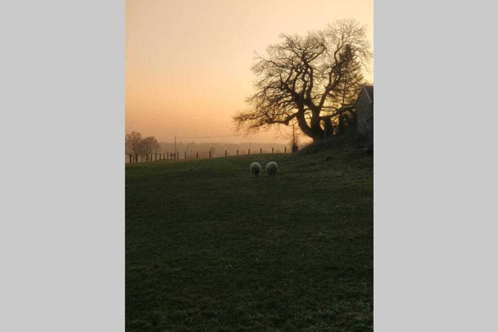 Photo of Others in Montpinchon