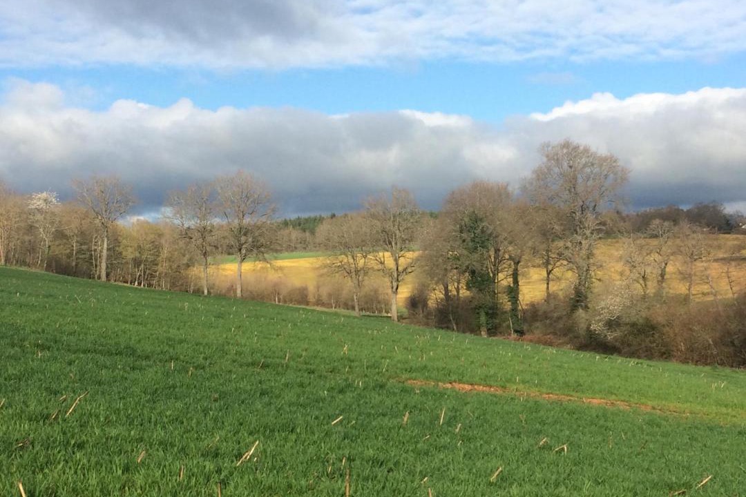 Photo of Others in Epineuil-le-Fleuriel