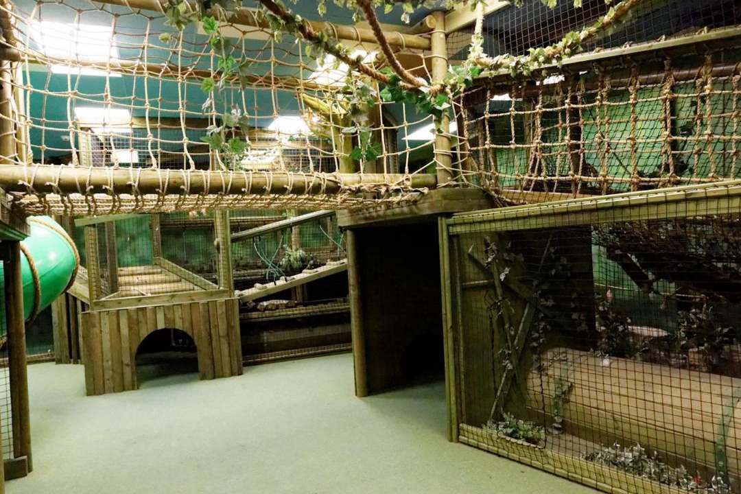 Photo of Others in Brean