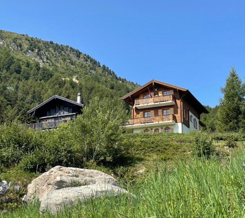 Photo of Others in Vex