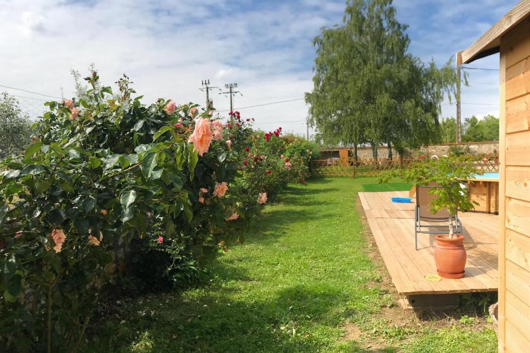 Photo of Others in Champigny-sur-Veude