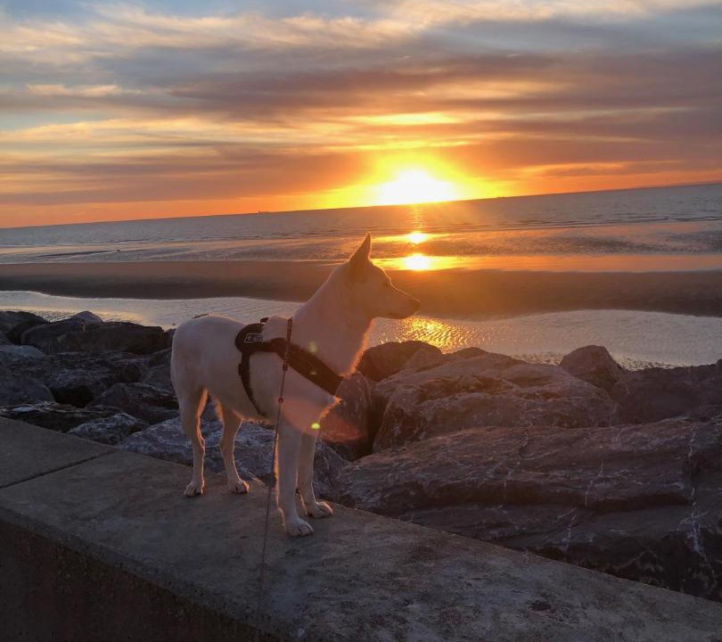 Photo of Others in Armentieres