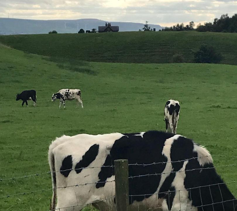 Photo of Others in Burnley