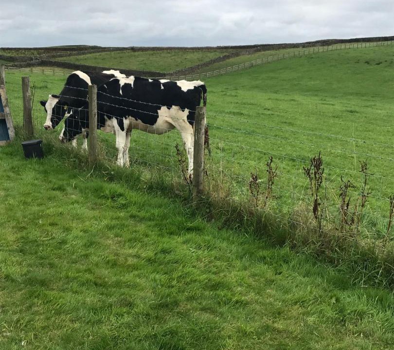 Photo of Others in Burnley