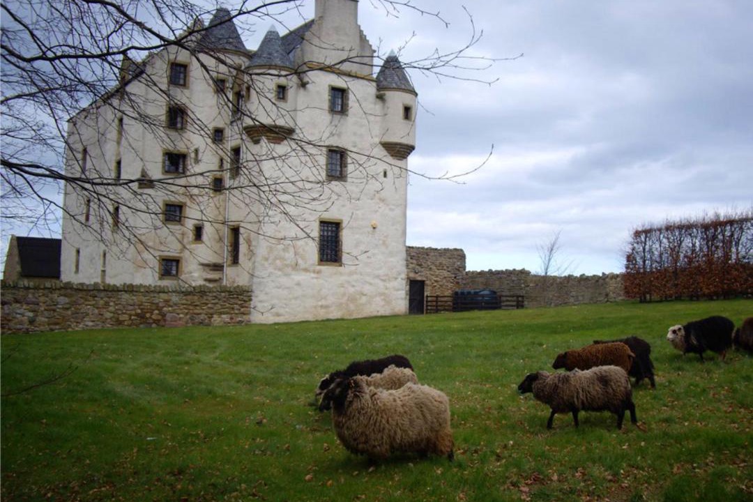 Photo of Buildings in Musselburgh
