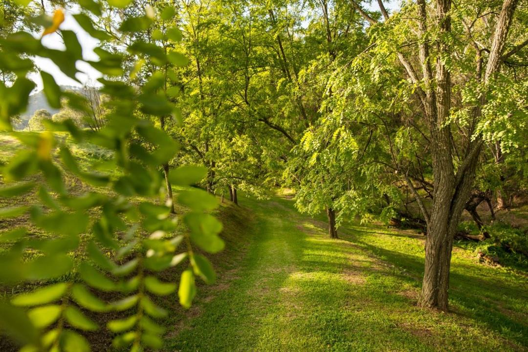 Photo of Outdoor in Mount View