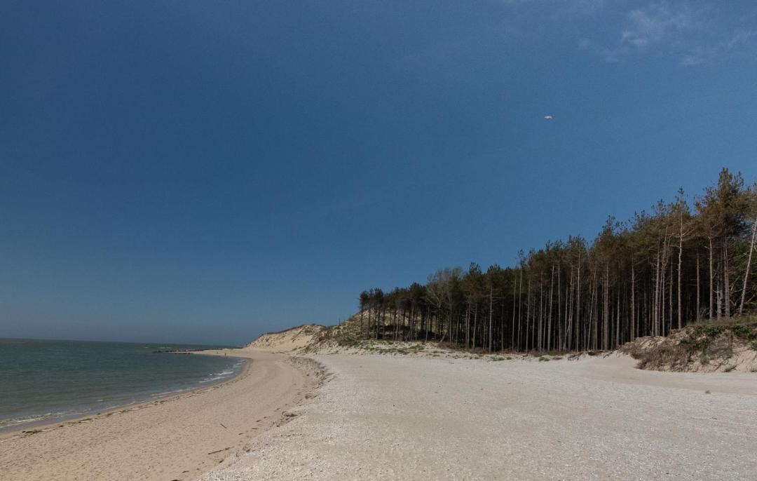 Photo of Outdoor in Groffliers