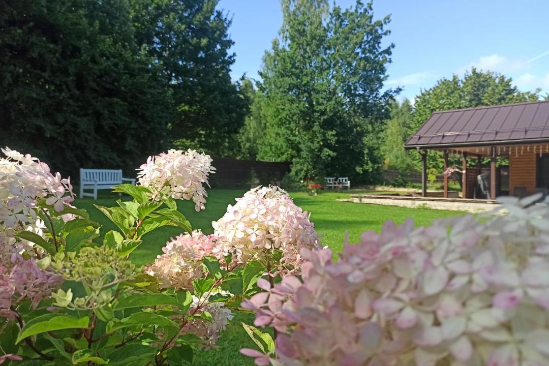 Photo of Others in Bugrovo