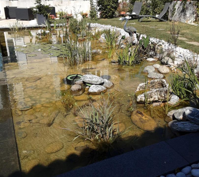 Photo of Others in Thaims