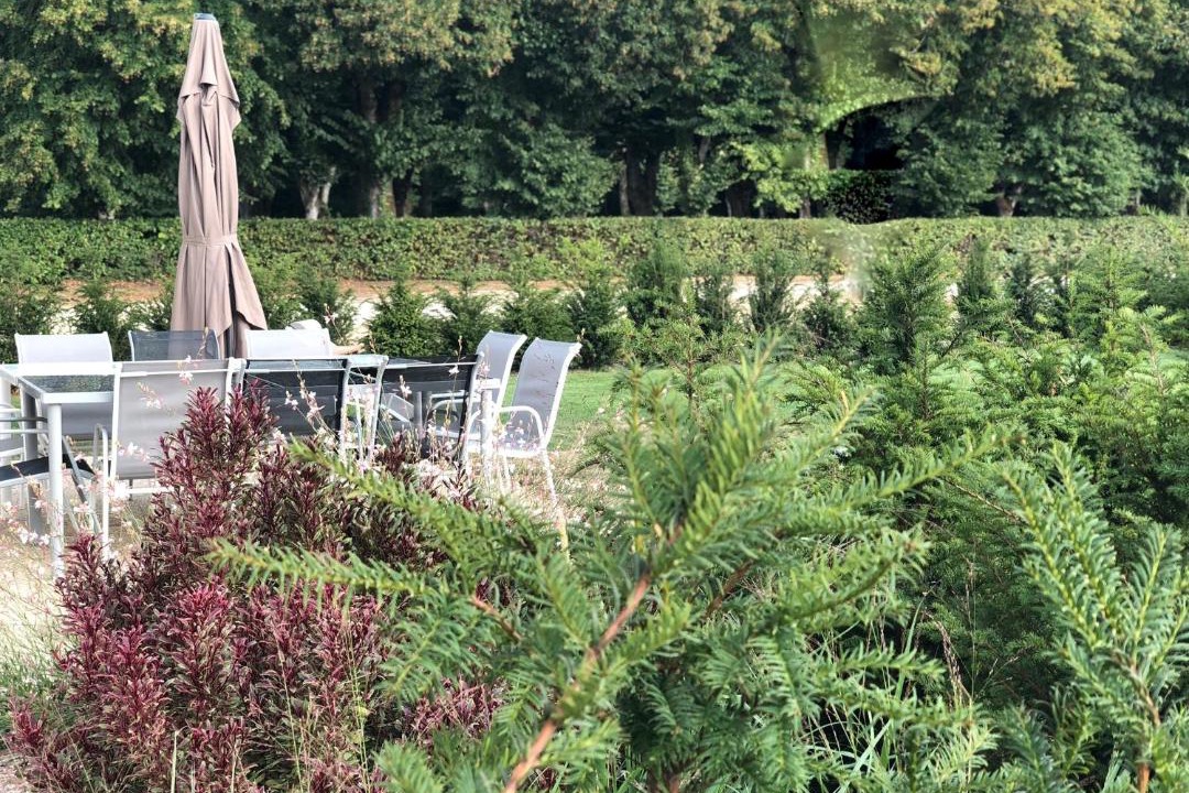 Photo of Others in Azay-sur-Cher