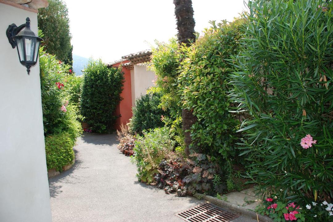 Photo of Others in Carros