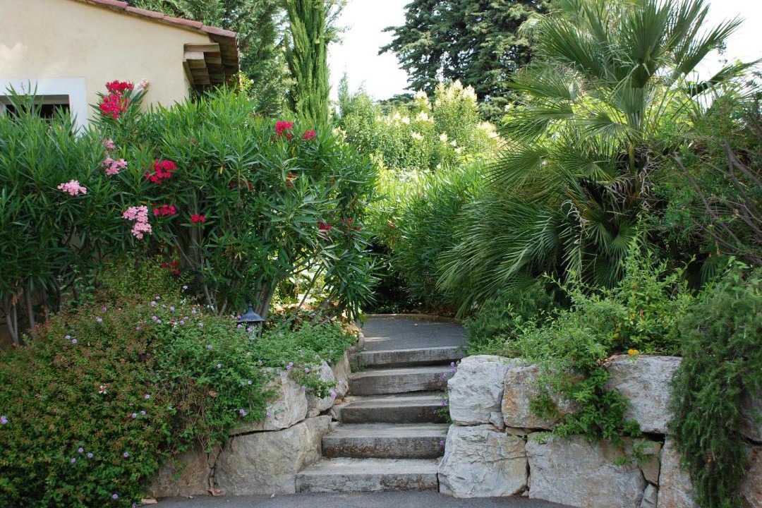 Photo of Others in Carros