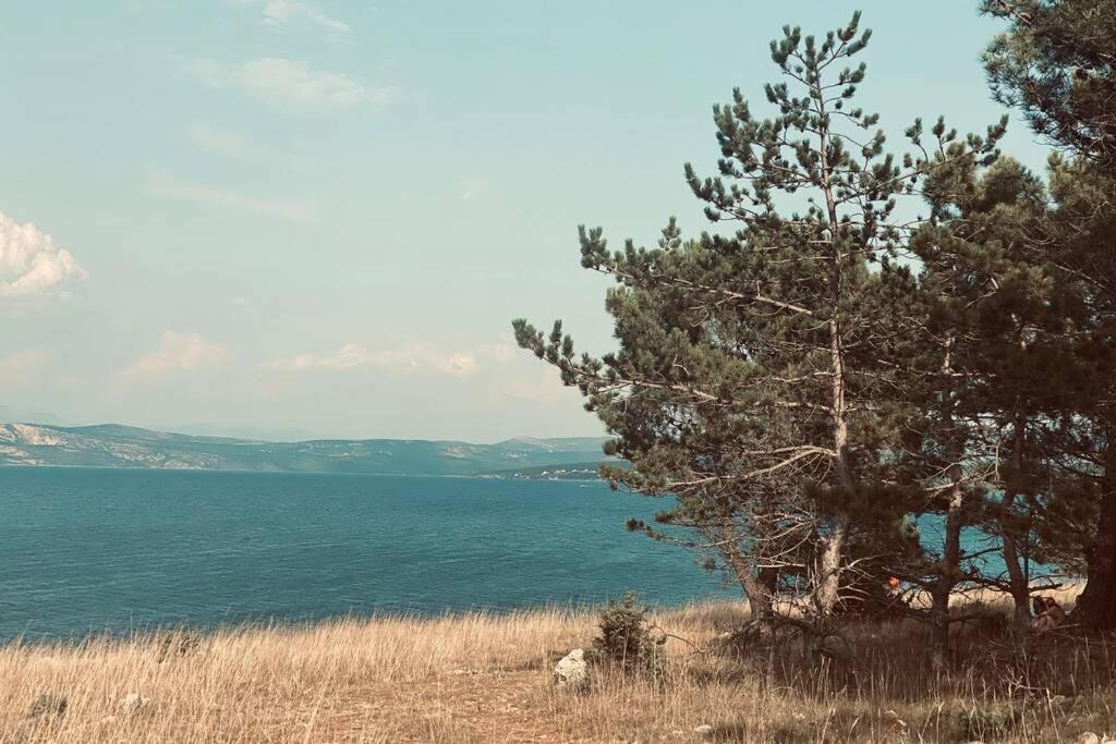 Photo of Outdoor in Posedarje