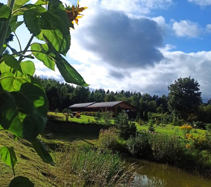 Photo of Others in Bugrovo